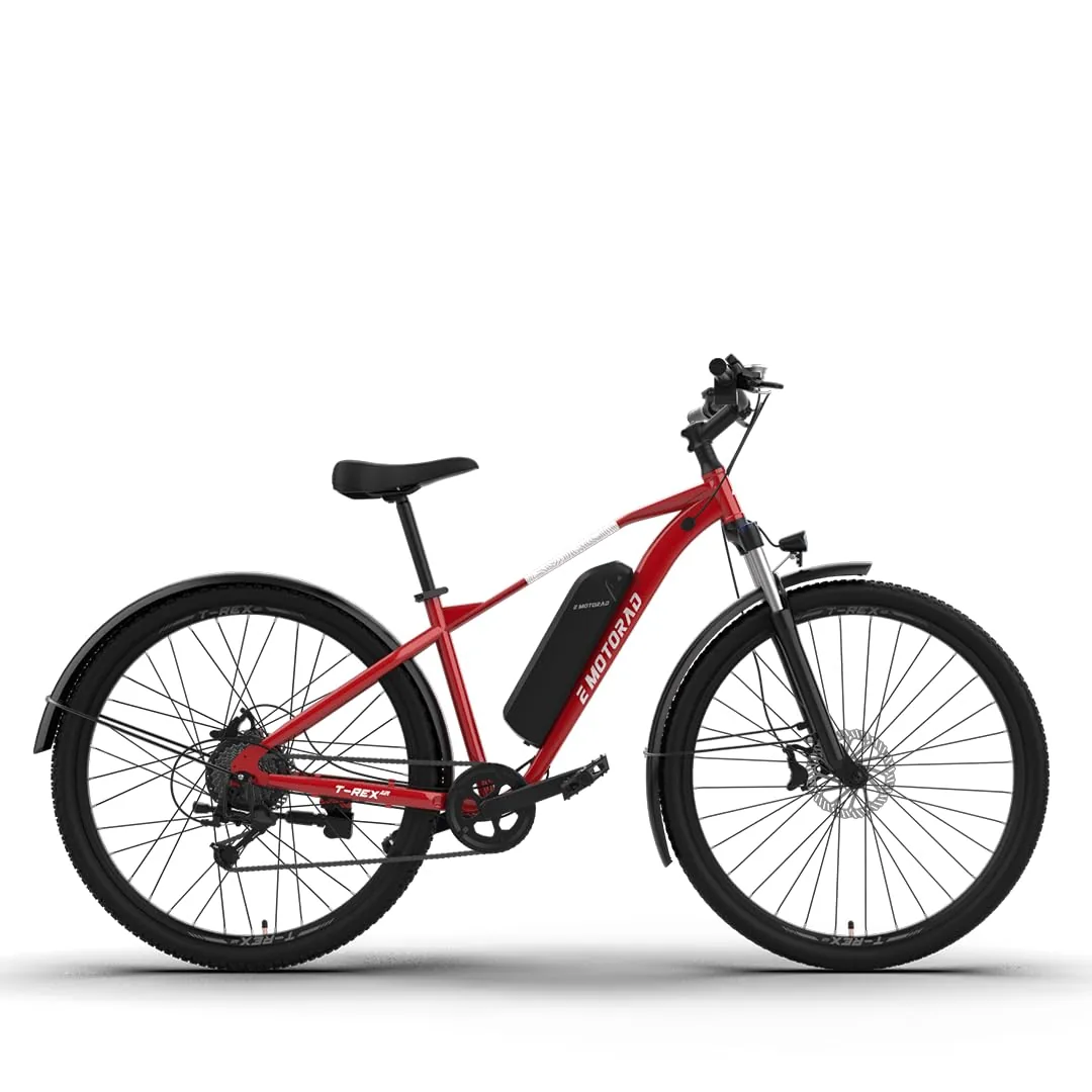 EMotorad T-Rex Air 29″ — foto 10
