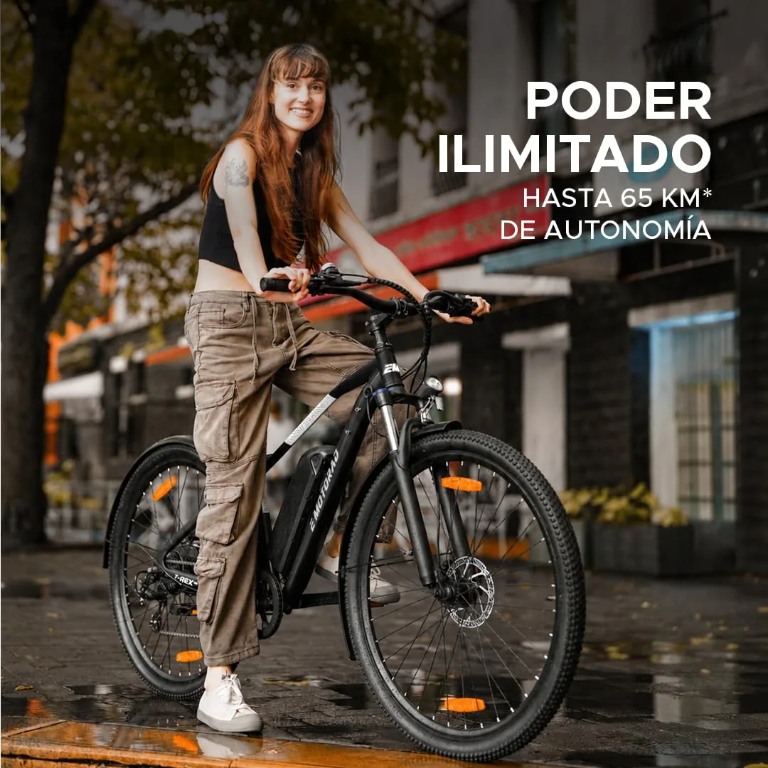 EMotorad T-Rex Air 29″ — foto 3