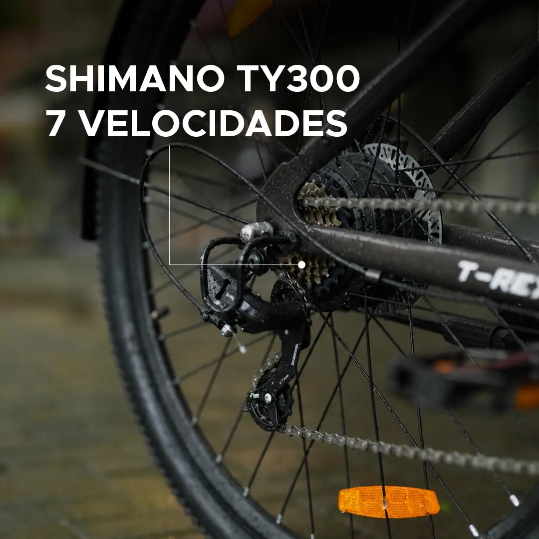 EMotorad T-Rex Air 29″ — foto 5