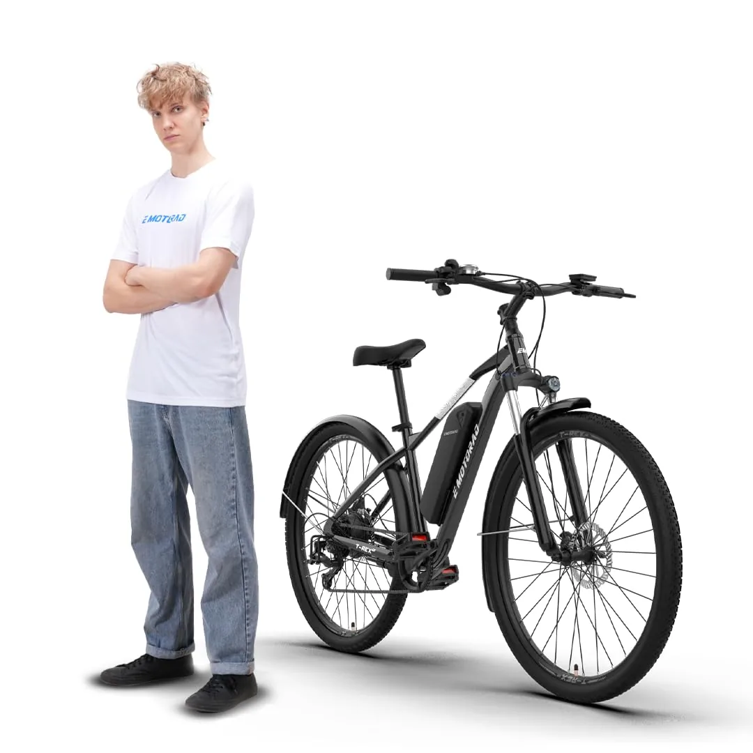 EMotorad T-Rex Air 29″ — foto 8